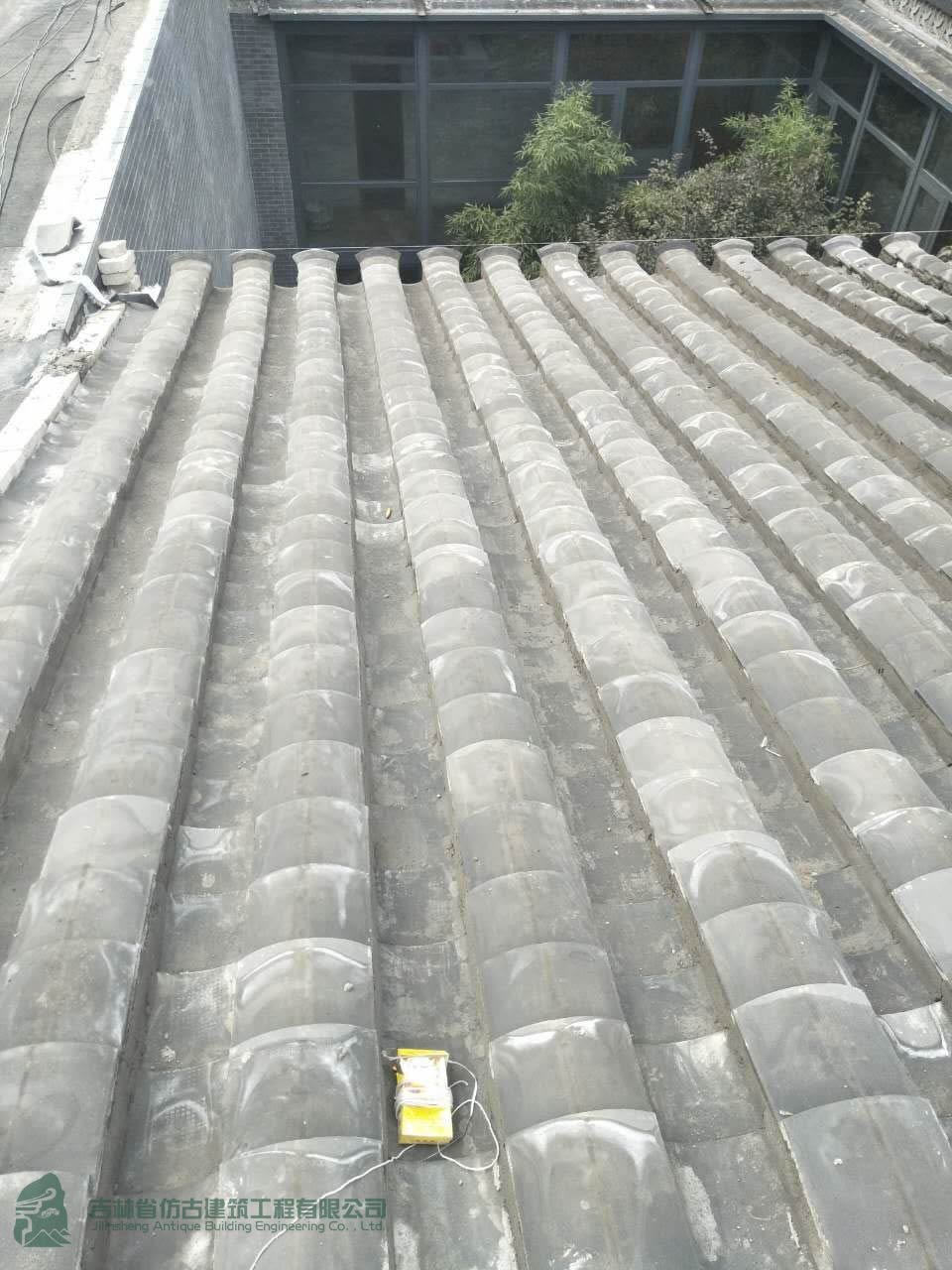 mmexport1502676806499.jpg
